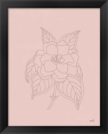 Framed Gardenia Line Drawing Pink Print