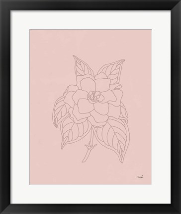 Framed Gardenia Line Drawing Pink Print