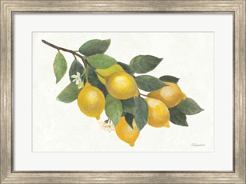 Framed Lemon Branch I Print