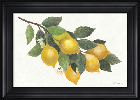 Framed Lemon Branch I Print