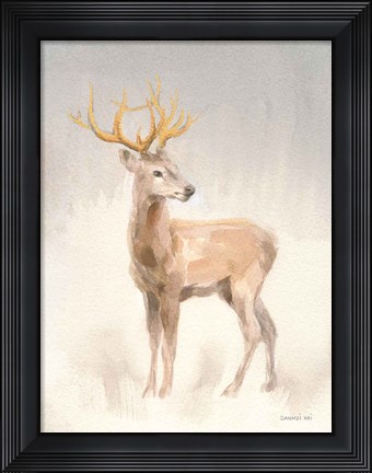Framed Regal Wild II Print
