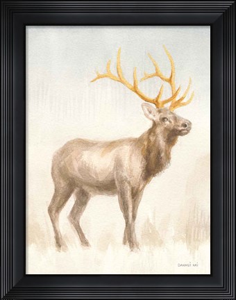 Framed Regal Wild I Print