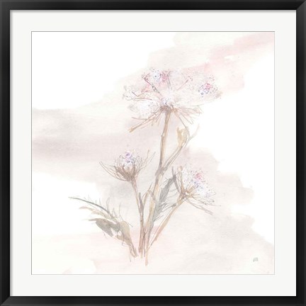Framed Queen Annes Lace IV Print