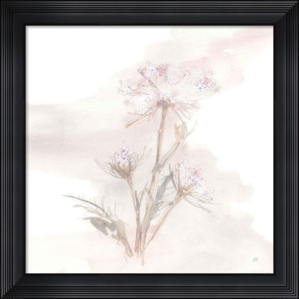 Framed Queen Annes Lace IV Print