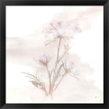 Framed Queen Annes Lace IV Print