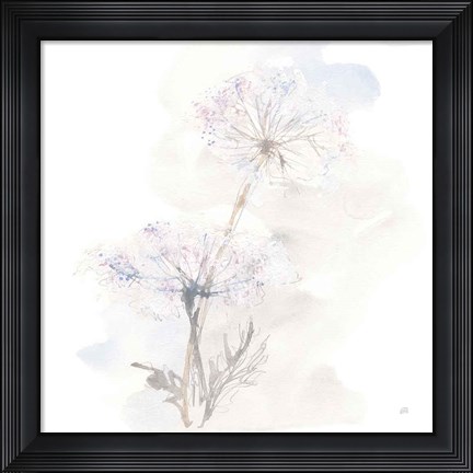 Framed Queen Annes Lace III Print