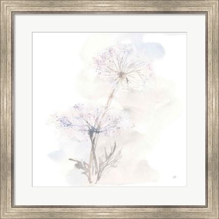 Framed Queen Annes Lace III Print