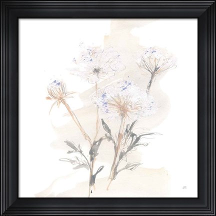 Framed Queen Annes Lace II Print