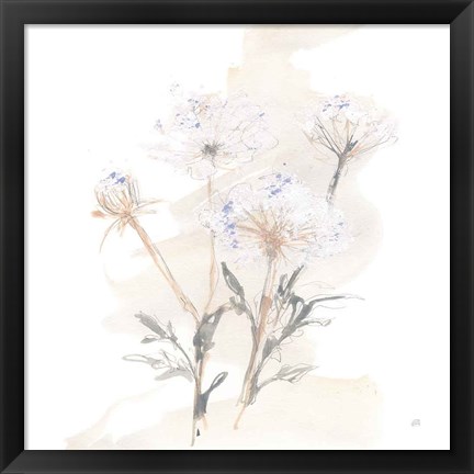 Framed Queen Annes Lace II Print