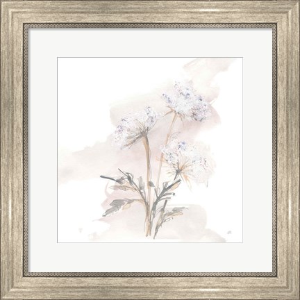 Framed Queen Annes Lace I Print