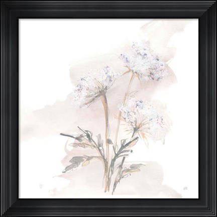 Framed Queen Annes Lace I Print
