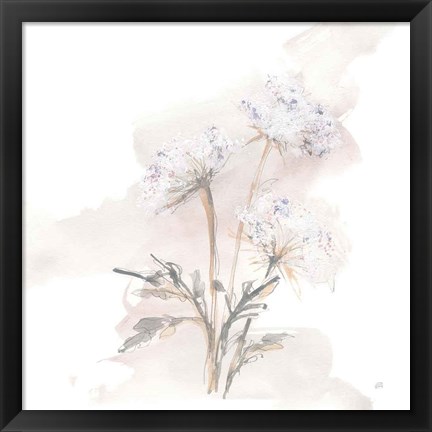 Framed Queen Annes Lace I Print