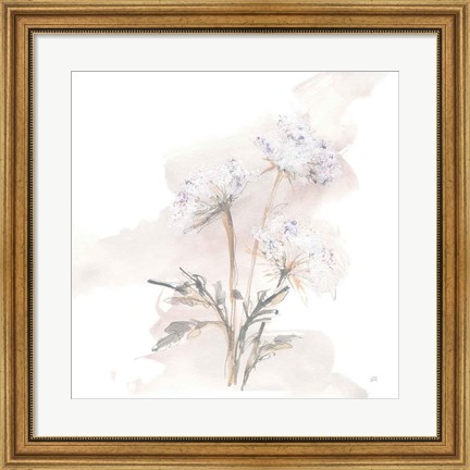 Framed Queen Annes Lace I Print