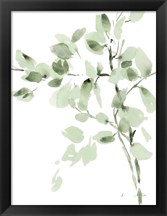 Framed Cascading Branches II Print