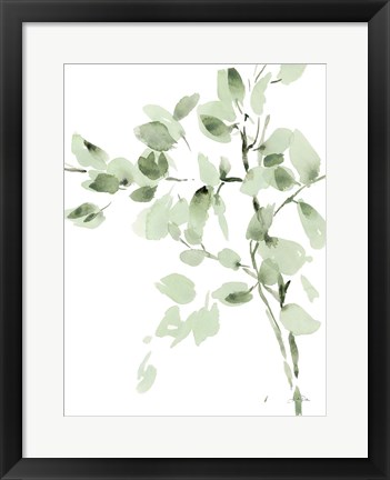 Framed Cascading Branches II Print