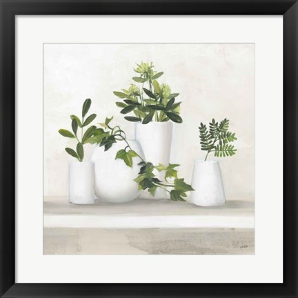 Framed Plant Life III Print