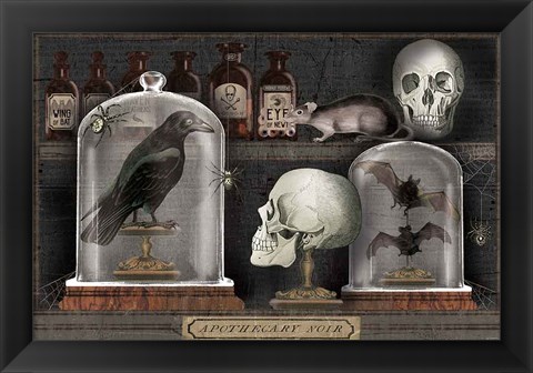 Framed Apothecary Noir V Print