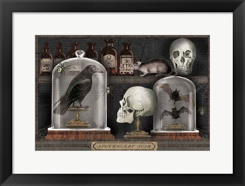 Framed Apothecary Noir V Print