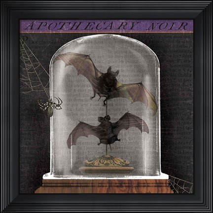 Framed Apothecary Noir IV Print
