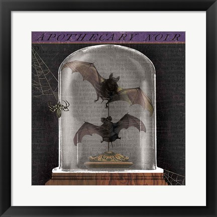 Framed Apothecary Noir IV Print