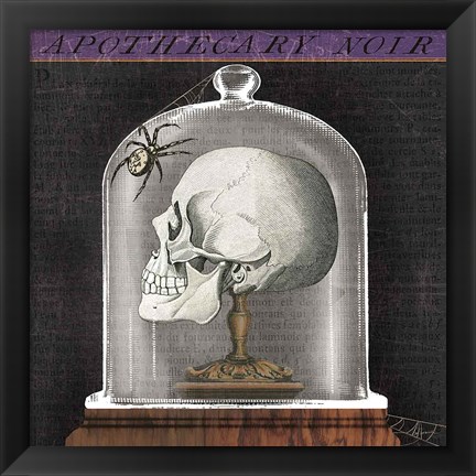 Framed Apothecary Noir II Print