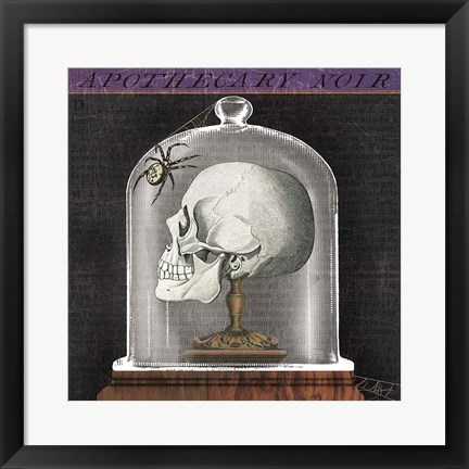 Framed Apothecary Noir II Print