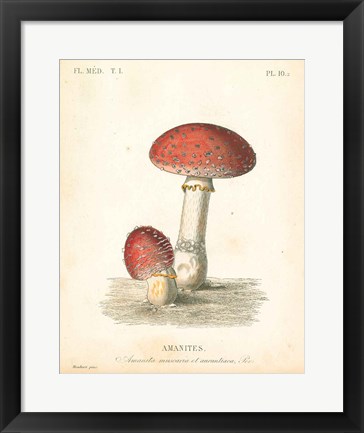 Framed French Mushrooms III Print