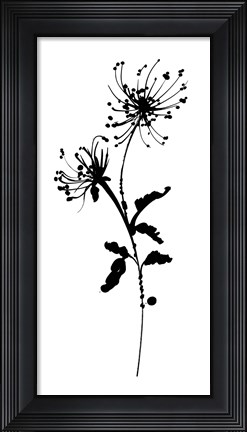 Framed Silhouette Floral IV Print