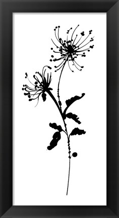 Framed Silhouette Floral IV Print