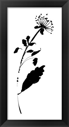 Framed Silhouette Floral III Print