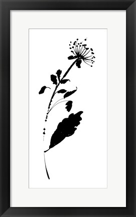 Framed Silhouette Floral III Print