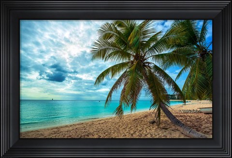 Framed Palm Tree Dreams Print