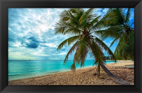 Framed Palm Tree Dreams Print