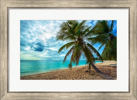 Framed Palm Tree Dreams Print