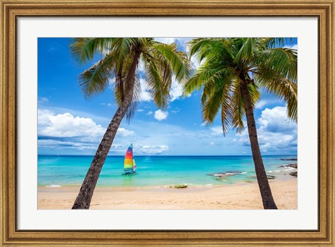 Framed Postcard From Paradise Print