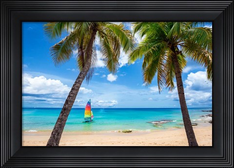 Framed Postcard From Paradise Print