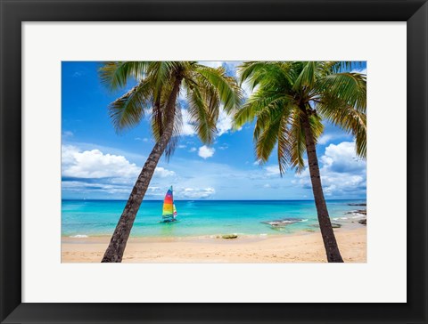 Framed Postcard From Paradise Print