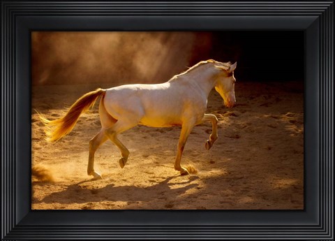Framed Dancing In The Light Print