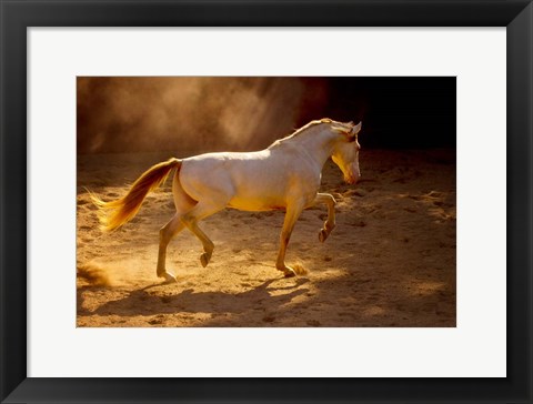 Framed Dancing In The Light Print