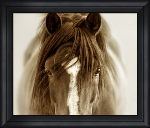 Framed Ghost Horse Print