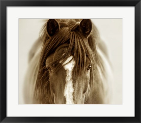 Framed Ghost Horse Print