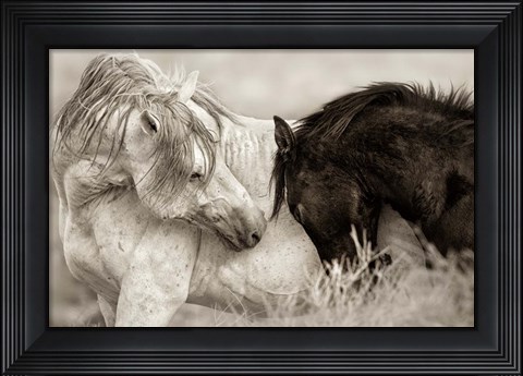 Framed Long Goodbye Print