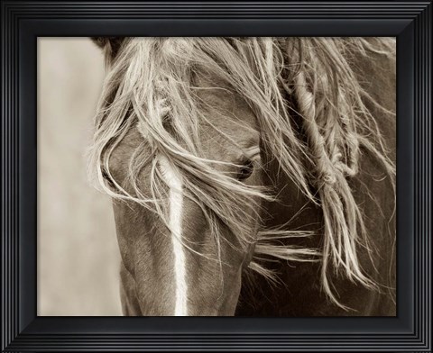 Framed Wind Knots Print