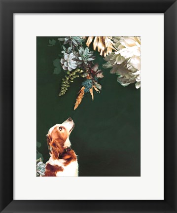 Framed Pet Couture 1 Print
