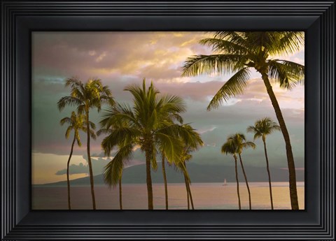 Framed Hawaii Palm Sunset No. 1 Print