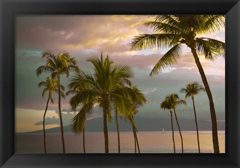 Framed Hawaii Palm Sunset No. 1 Print