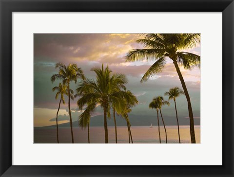 Framed Hawaii Palm Sunset No. 1 Print