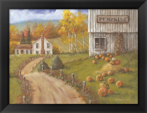 Framed Harvest Pumpkin Farm Print