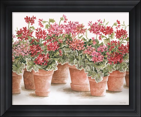 Framed Potted Geranium Mix I Print