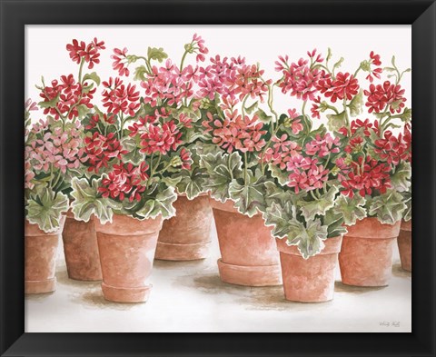 Framed Potted Geranium Mix I Print